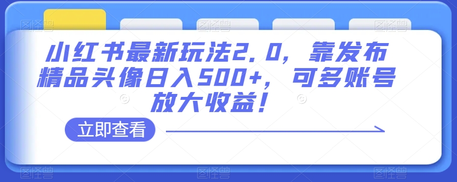 小红书最新玩法2.0，靠发布精品头像日入500+，可多账号放大收益！【揭秘】-苏柒资源库