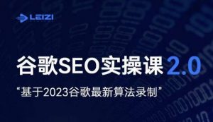 雷子·谷歌SEO 2.0实战课，独立站询盘自由必备，基于2023谷歌最新算法录制-苏柒资源库