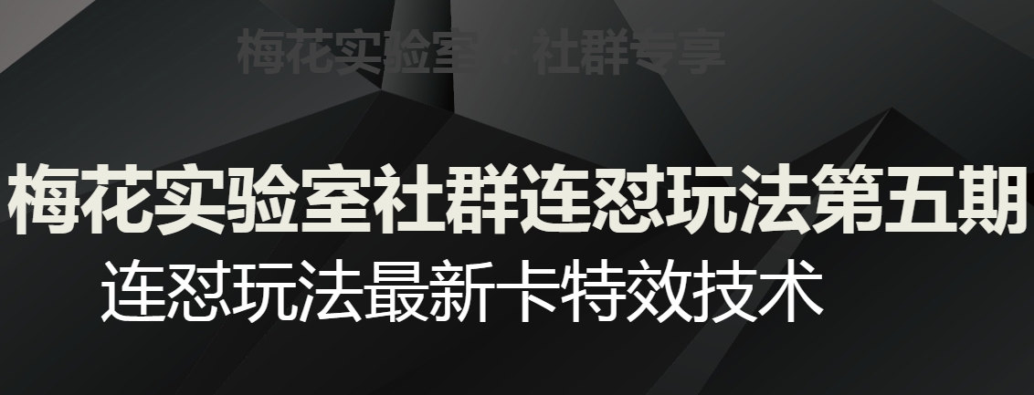 梅花实验室社群连怼玩法第五期，视频号连怼玩法最新卡特效技术-苏柒资源库