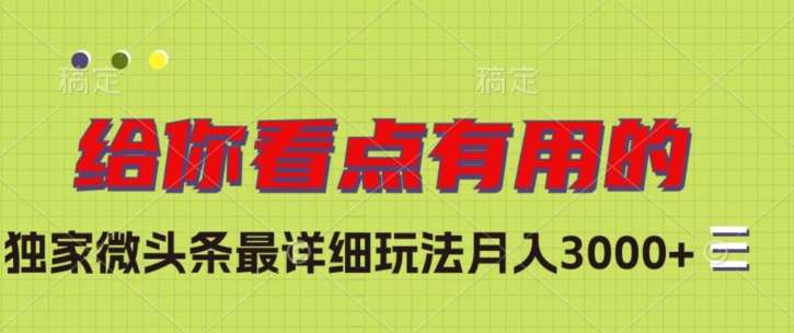 独家微头条最详细玩法，月入3000+【揭秘】-苏柒资源库