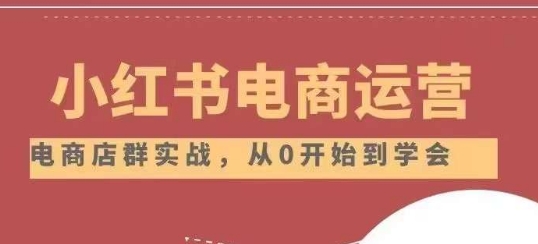 小红书店铺运营从小白到大神2.0，从入门到精通-苏柒资源库