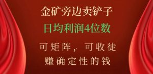 金矿旁边卖铲子,赚确定性的钱,可矩阵,可收徒,日均利润4位数【揭秘】-苏柒资源库