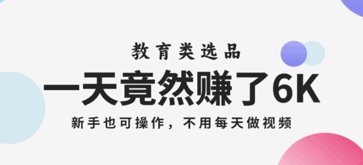 一天竟然赚了6000多，教育类选品，新手也可操作，更不用每天做短视频【揭秘】-苏柒资源库