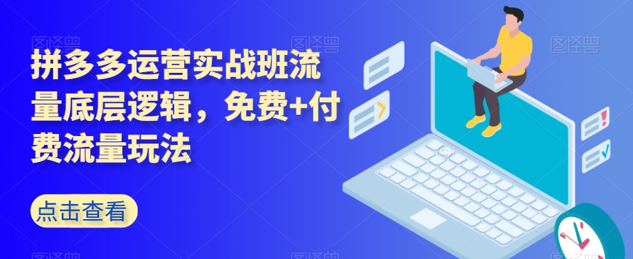 拼多多运营实战班流量底层逻辑，免费+付费流量玩法-苏柒资源库