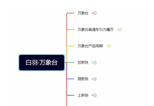 白羽·直引万搜索全篇，从0-1，多个类目实操经验总结付费-苏柒资源库