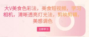 大V美食色彩法,美食短视频,学习相机,清晰透亮灯光法,剪映剪辑,美感调色-苏柒资源库