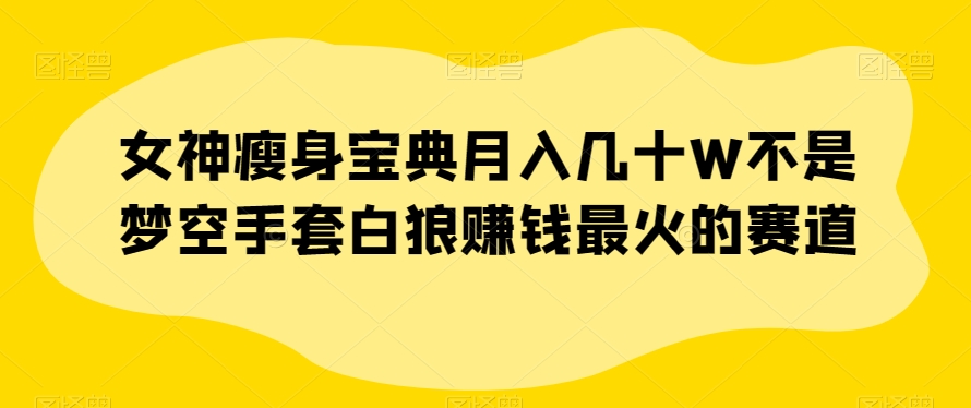 女神瘦身宝典月入几十W不是梦空手套白狼赚钱最火的赛道【揭秘】-苏柒资源库