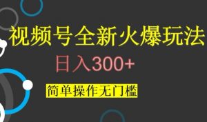 视频号最新爆火玩法,日入300+,简单操作无门槛【揭秘】-苏柒资源库
