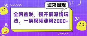 全网首发,慢开屏深情玩法,一条视频涨粉2000+【揭秘】-苏柒资源库