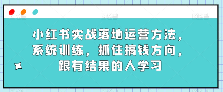 小红书实战落地运营方法，系统训练，抓住搞钱方向，跟有结果的人学习-苏柒资源库