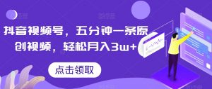 抖音视频号，五分钟一条原创视频，轻松月入3w+【独家秘诀，传授赚钱方法】【揭秘】-苏柒资源库