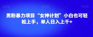 男粉暴力项目“女神计划”小白也可轻松上手，单人日入上千+【揭秘】-苏柒资源库