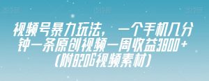 视频号暴力玩法，一个手机几分钟一条原创视频一周收益3800+（附820G视频素材）-苏柒资源库