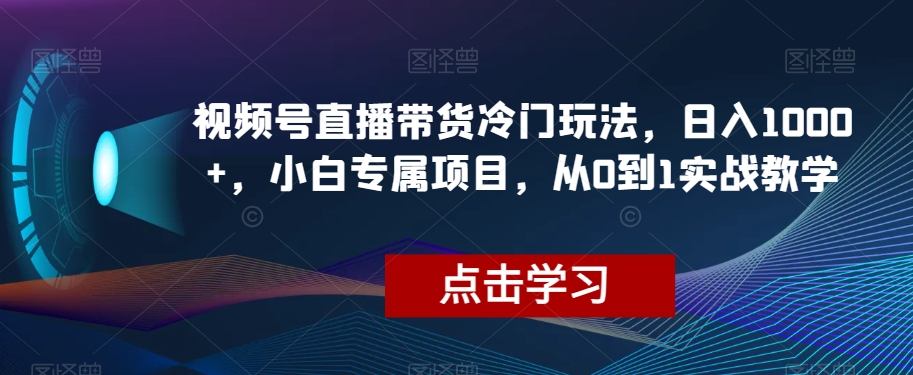 视频号直播带货冷门玩法，日入1000+，小白专属项目，从0到1实战教学【揭秘】-苏柒资源库