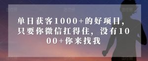 单日获客1000+的好项目，只要你微信扛得住，没有1000+你来找我【揭秘】-苏柒资源库