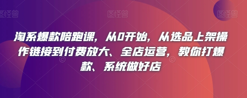 淘系爆款陪跑课，从0开始，从选品上架操作链接到付费放大、全店运营，教你打爆款、系统做好店-苏柒资源库
