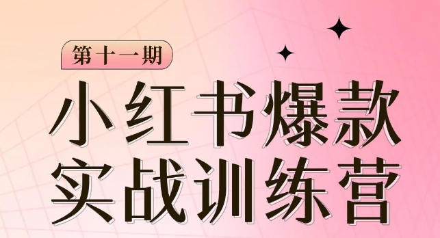 小红书博主爆款训练营第11期，手把手教你从0-1做小红书，从定位到起号到变现-苏柒资源库