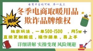 利用电商平台冬季销售取暖用品欺诈行为合理制裁店铺,单日入900+【仅揭秘】-苏柒资源库