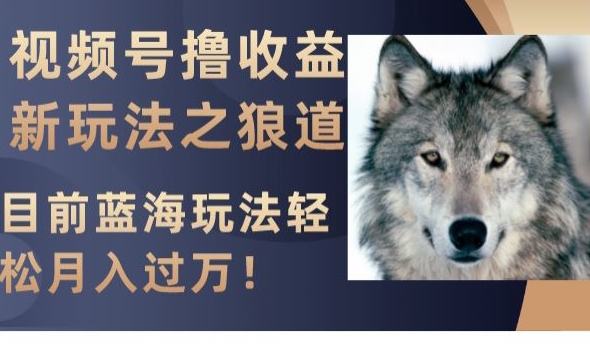 视频号撸收益新玩法之狼道，目前蓝海玩法，轻松月入过万【揭秘】-苏柒资源库