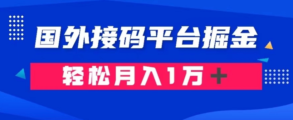 通过国外接码平台掘金：成本1.3，利润10＋，轻松月入1万＋【揭秘】-苏柒资源库