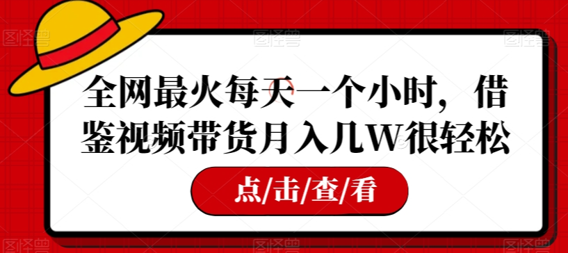 全网最火每天一个小时，借鉴视频带货月入几W很轻松【揭秘】-苏柒资源库
