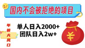 在国内不怕被拒绝的项目，单人日入2000，团队日入20000+【揭秘】-苏柒资源库