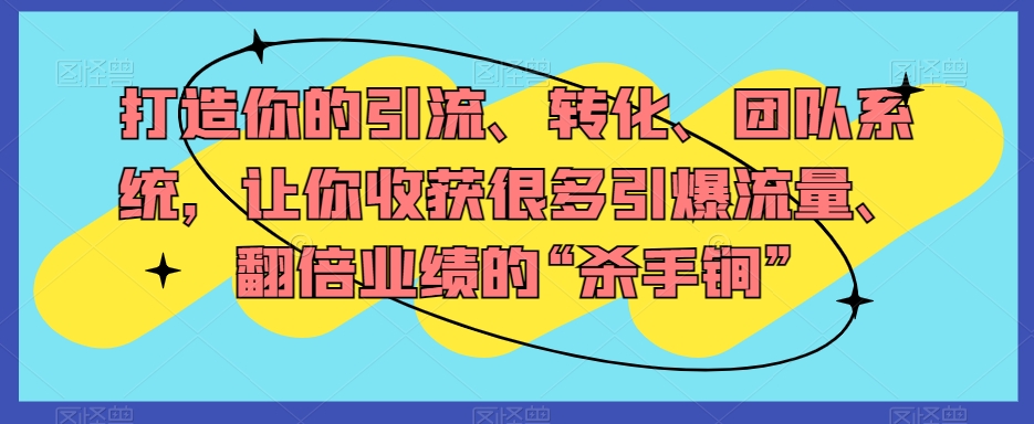 打造你的引流、转化、团队系统，让你收获很多引爆流量、翻倍业绩的“杀手锏”-苏柒资源库