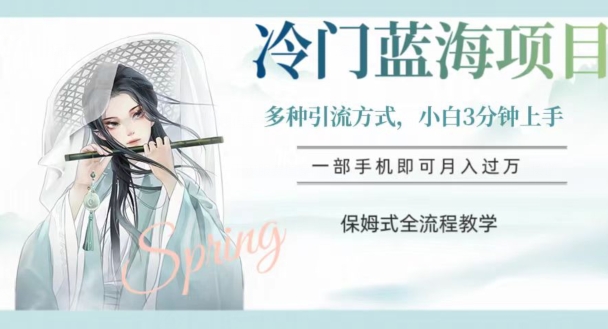 冷门蓝海项目，操作简单，小白3分钟上手，多种引流方式，保姆式全流程教学【揭秘】-苏柒资源库