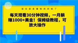 每天观看30分钟视频，一月躺赚1000+美金！保姆级教程，可放大操作【揭秘】-苏柒资源库