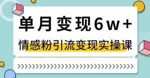 单月变现6W+，抖音情感粉引流变现实操课，小白可做，轻松上手，独家赛道【揭秘】-苏柒资源库