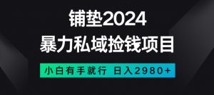 暴力私域捡钱项目,小白无脑操作,日入2980【揭秘】-苏柒资源库