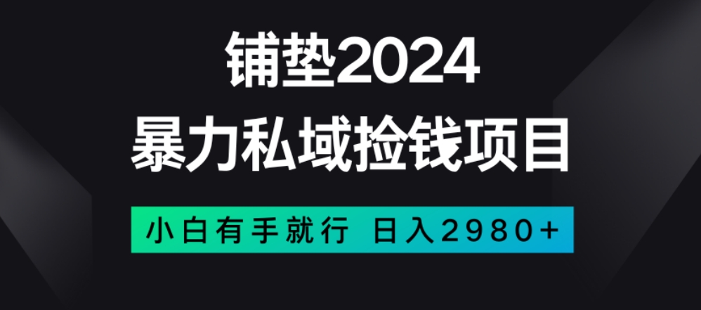 暴力私域捡钱项目，小白无脑操作，日入2980【揭秘】-苏柒资源库