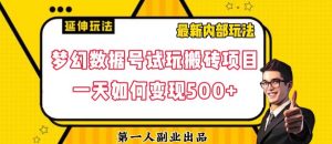 数据号回归玩法游戏试玩搬砖项目再创日入500+【揭秘】-苏柒资源库