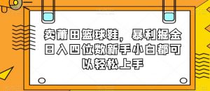 卖莆田篮球鞋，暴利掘金日入四位数新手小白都可以轻松上手【揭秘】-苏柒资源库