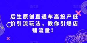 后生原创直通车高投产低价引流玩法,教你引爆店铺流量!-苏柒资源库