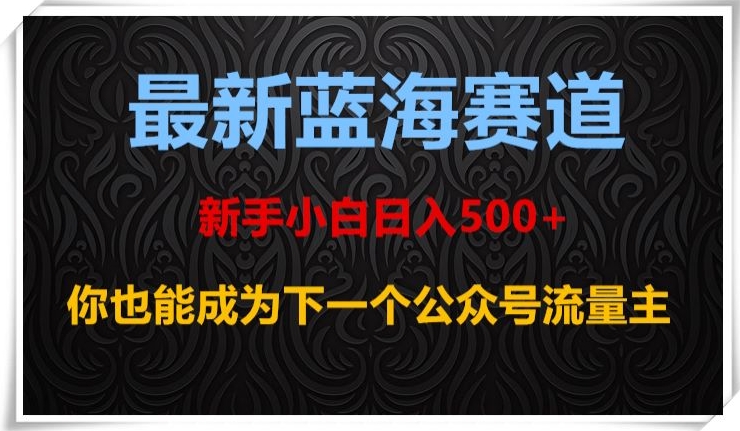 最新蓝海赛道,新手小白日入500+,你也能成为下一个公众号流量主【揭秘】-苏柒资源库