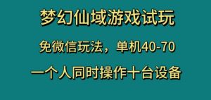 梦幻仙域游戏试玩,免微信玩法,单机40-70,一个人同时操作十台设备【揭秘】-苏柒资源库