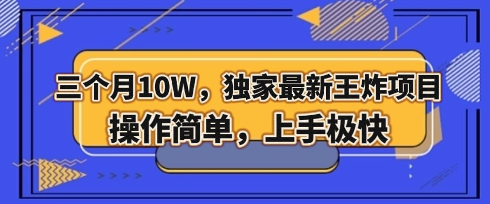 三个月10W，独家最新王炸项目！操作简单，上手极快【揭秘】-苏柒资源库
