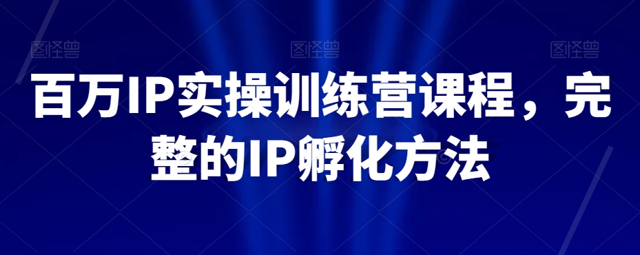 百万IP实操训练营课程，完整的IP孵化方法-苏柒资源库