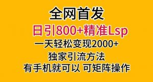 全网首发!日引800+精准老色批,一天变现2000+,独家引流方法,可矩阵操作【揭秘】-苏柒资源库