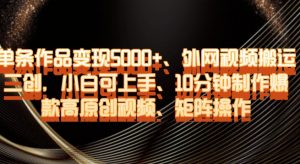单条作品变现5000+、外网视频搬运二创,小白可上手,10分钟制作爆款高原创视频,矩阵操作【揭秘】-苏柒资源库