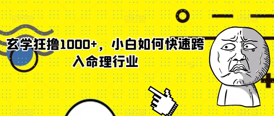 玄学狂撸1000+，小白如何快速跨入命理行业【揭秘】-苏柒资源库