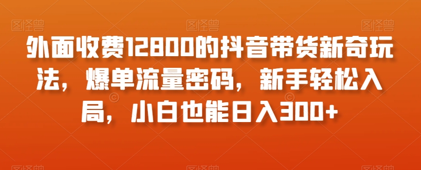 外面收费12800的抖音带货新奇玩法，爆单流量密码，新手轻松入局，小白也能日入300+【揭秘】-苏柒资源库