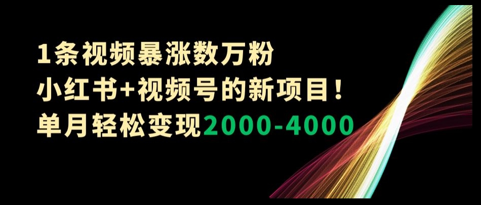 1条视频暴涨数万粉–小红书+视频号的新项目！单月轻松变现2000-4000【揭秘】-苏柒资源库