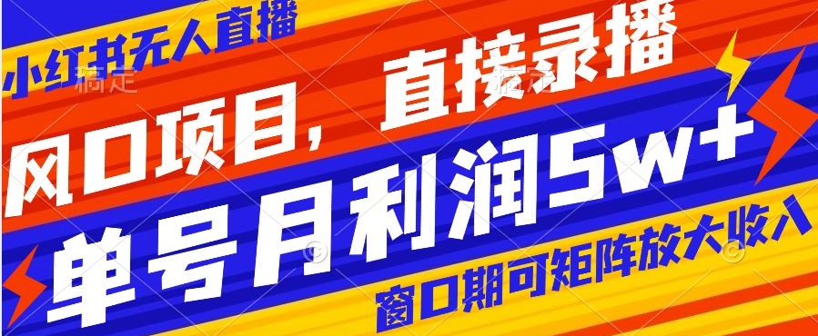 风口项目，小红书无人直播带货，直接录播，可矩阵，月入5w+【揭秘】-苏柒资源库