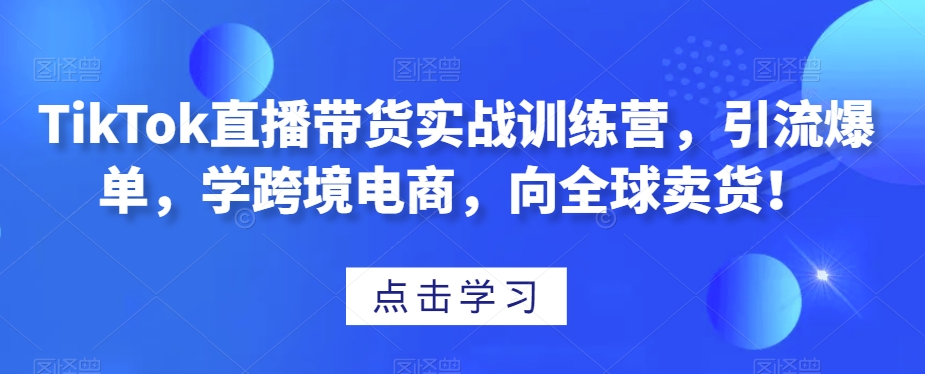 TikTok直播带货实战训练营,引流爆单,学跨境电商,向全球卖货!-苏柒资源库