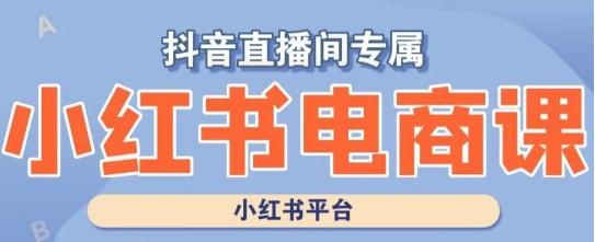 小红书电商高级运营课程，实操教学+案例分析-苏柒资源库