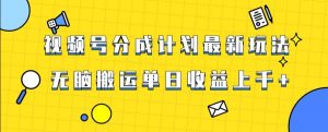 视频号最新爆火赛道玩法，只需无脑搬运，轻松过原创，单日收益上千【揭秘】-苏柒资源库