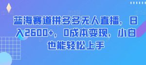 蓝海赛道拼多多无人直播,日入2600+,0成本变现,小白也能轻松上手【揭秘】-苏柒资源库