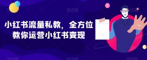 小红书流量私教,全方位教你运营小红书变现-苏柒资源库